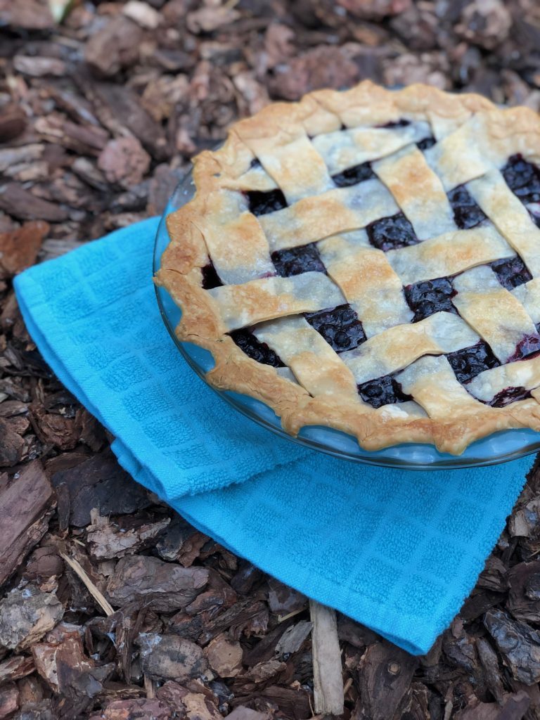 alaskan wild blueberry pie